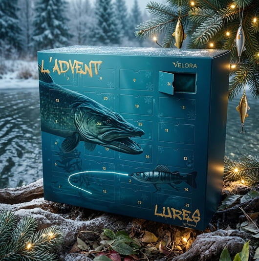 Fish Advent Calendar 2026