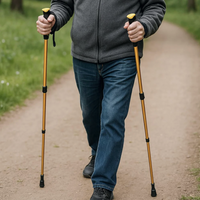 FlexiBrace™ Bastoncini da camminata pieghevoli