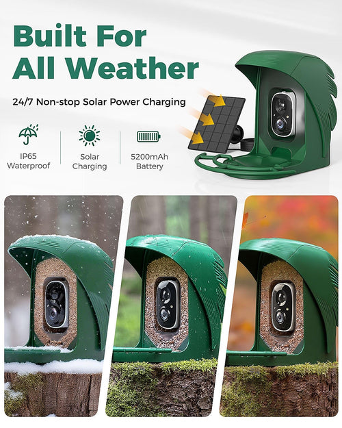 Bird Feeder Camera | Smart Solar Bird Feeder with 2K Camera, Night Vision and AI Bird Identification