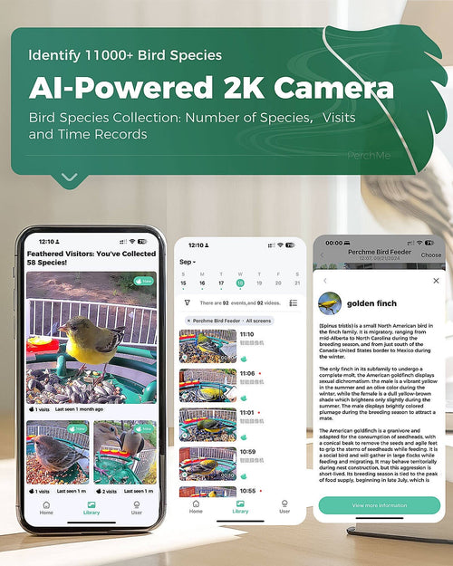 Bird Feeder Camera | Smart Solar Bird Feeder with 2K Camera, Night Vision and AI Bird Identification