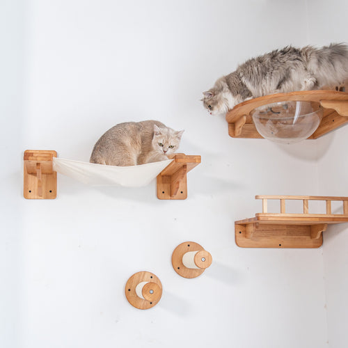 Corner Cat Wall Set with Bubble Perch and Hammock | Cat Wall Shelves, Wall Mounted Cat Furniture in Rubberwood
