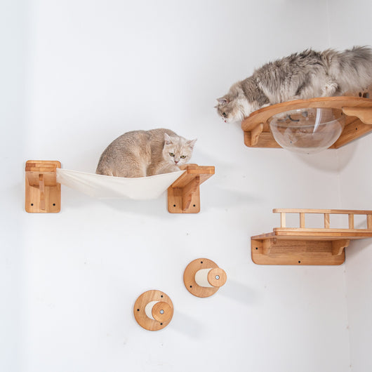 Corner Cat Wall Set with Bubble Perch and Hammock | Cat Wall Shelves, Wall Mounted Cat Furniture in Rubberwood