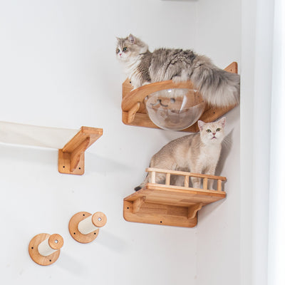 Corner Cat Wall Set with Bubble Perch and Hammock | Cat Wall Shelves, Wall Mounted Cat Furniture in Rubberwood