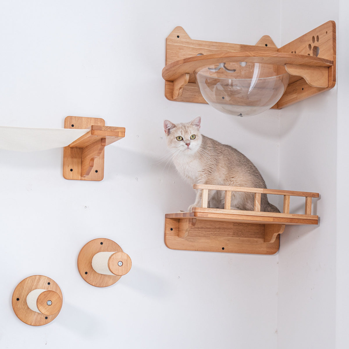 What actually makes a good cat wall set