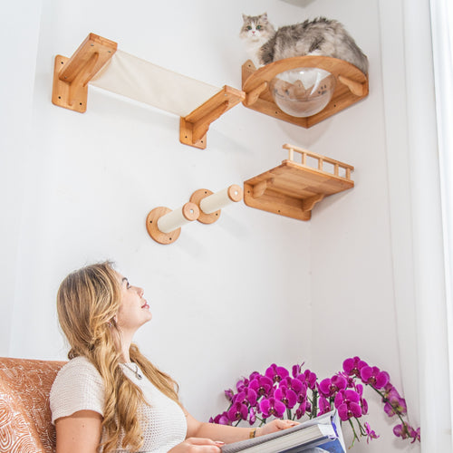 Corner Cat Wall Set with Bubble Perch and Hammock | Cat Wall Shelves, Wall Mounted Cat Furniture in Rubberwood