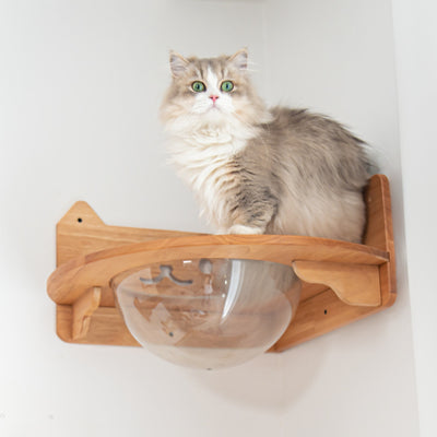 Corner Cat Wall Set with Bubble Perch and Hammock | Cat Wall Shelves, Wall Mounted Cat Furniture in Rubberwood