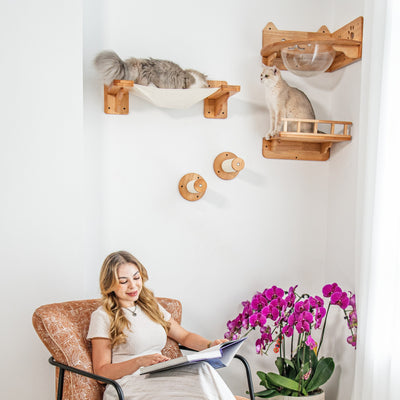 Corner Cat Wall Set with Bubble Perch and Hammock | Cat Wall Shelves, Wall Mounted Cat Furniture in Rubberwood