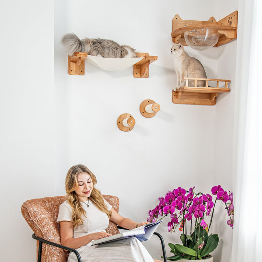 Corner Cat Wall Set with Bubble Perch and Hammock | Cat Wall Shelves, Wall Mounted Cat Furniture in Rubberwood