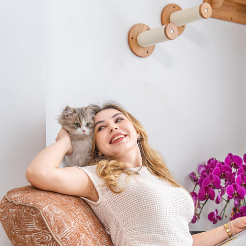 Corner Cat Wall Set with Bubble Perch and Hammock | Cat Wall Shelves, Wall Mounted Cat Furniture in Rubberwood