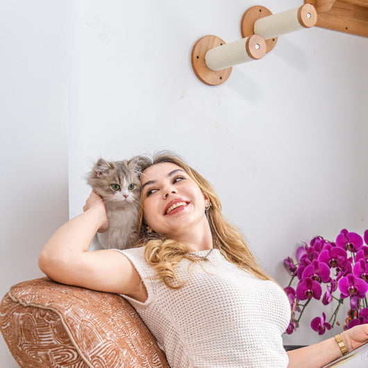 Corner Cat Wall Set with Bubble Perch and Hammock | Cat Wall Shelves, Wall Mounted Cat Furniture in Rubberwood