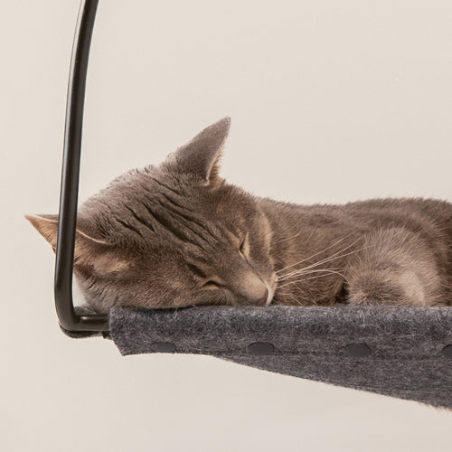 Cat Window Hammock with Steel Frame | Cat Window Perch, Suction Cup Window Seat for Indoor Cats up to 30 lbs