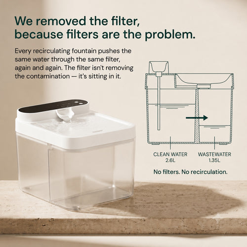 No-Filter Cordless Cat Water Fountain | Cat Water Fountain, Wireless Battery Pet Fountain, No Filters Needed