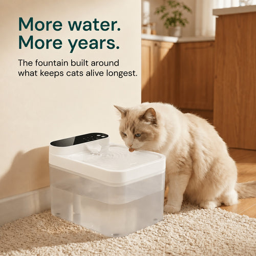 No-Filter Cordless Cat Water Fountain | Cat Water Fountain, Wireless Battery Pet Fountain, No Filters Needed