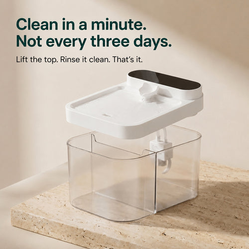 No-Filter Cordless Cat Water Fountain | Cat Water Fountain, Wireless Battery Pet Fountain, No Filters Needed