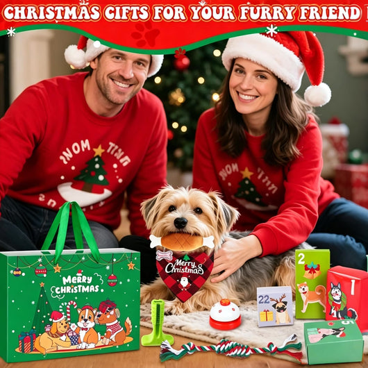 Dog Advent Calendar 2026 | 24 Toys, Collar, Leash and Treats Bag