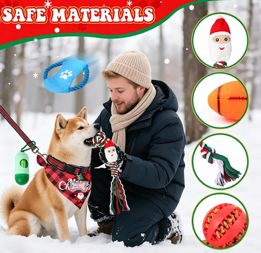 Dog Advent Calendar 2026 | 24 Toys, Collar, Leash and Treats Bag