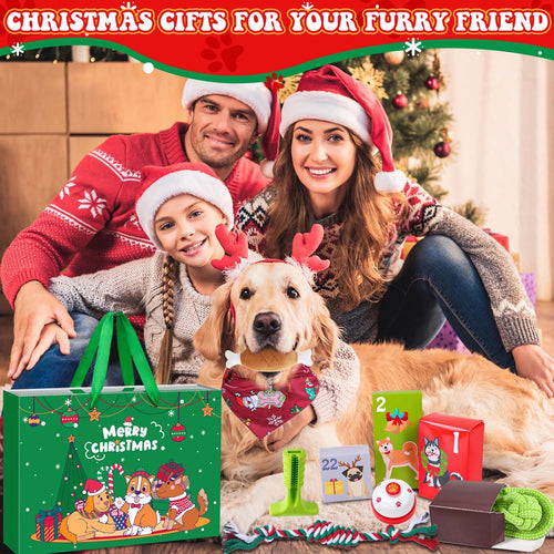 Dog Advent Calendar 2026 | 24 Toys, Collar, Leash and Treats Bag