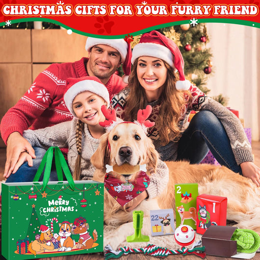 Dog Advent Calendar 2026 | 24 Toys, Collar, Leash and Treats Bag