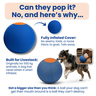 Herding Ball for Dogs, Large 22 Inch | Dog Herding Ball for High Energy Dogs, Indestructible Dog Ball with Cover, Jolly Ball for Herding Breeds