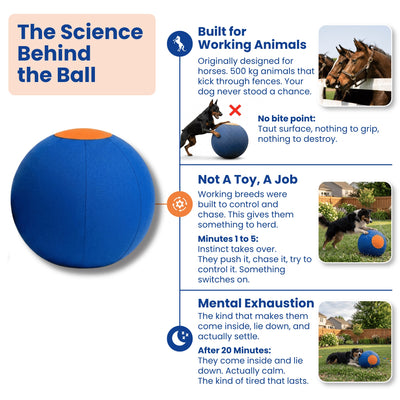 Herding Ball for Dogs, Large 22 Inch | Dog Herding Ball for High Energy Dogs, Indestructible Dog Ball with Cover, Jolly Ball for Herding Breeds