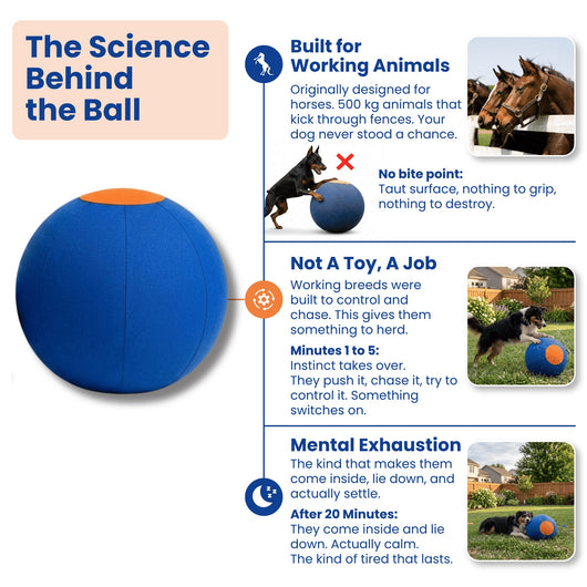 Herding Ball for Dogs, Large 22 Inch | Dog Herding Ball for High Energy Dogs, Indestructible Dog Ball with Cover, Jolly Ball for Herding Breeds