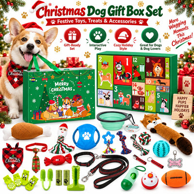 Christmas Dog Gift Box Advent Calendar | 24 Toys for Dogs
