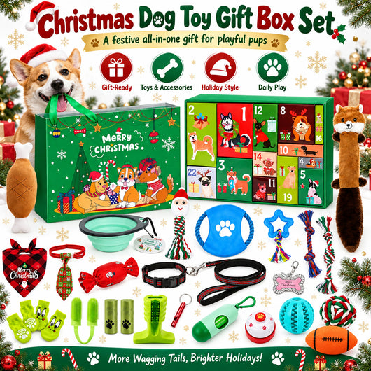 Christmas Dog Gift Box Advent Calendar | 24 Toys for Dogs