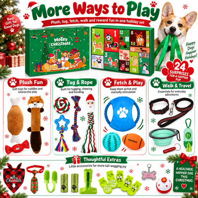Christmas Dog Gift Box Advent Calendar | 24 Toys for Dogs