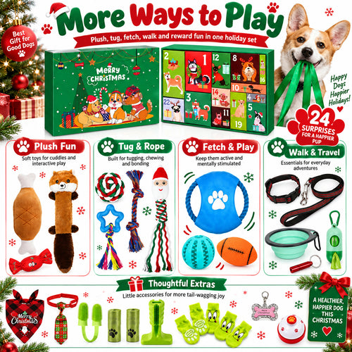 Christmas Dog Gift Box Advent Calendar | 24 Toys for Dogs