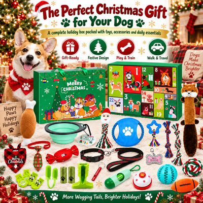 Christmas Dog Gift Box Advent Calendar | 24 Toys for Dogs