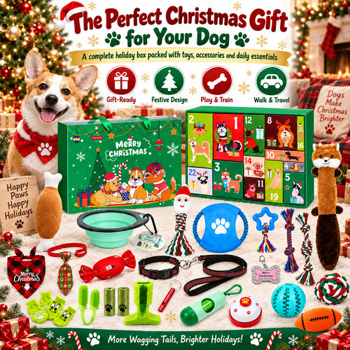 Christmas Dog Gift Box Advent Calendar | 24 Toys for Dogs