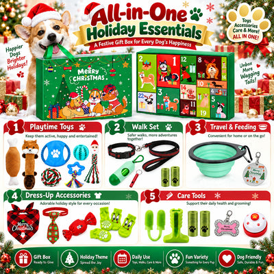 Christmas Dog Gift Box Advent Calendar | 24 Toys for Dogs