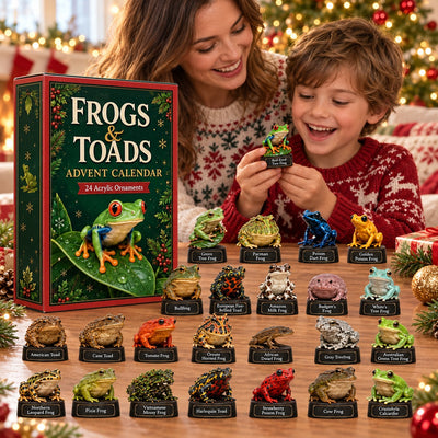 Frogs & Toads Advent Calendar 2026 | 24 Frog Figures, Gift for Frog Lovers