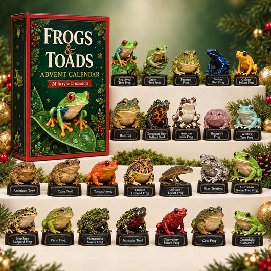 Frogs & Toads Advent Calendar 2026 | 24 Frog Figures, Gift for Frog Lovers