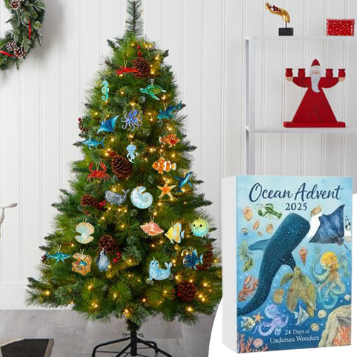 Ocean Animals Advent Calendar 2026 | 24 Sea Creature Ornaments