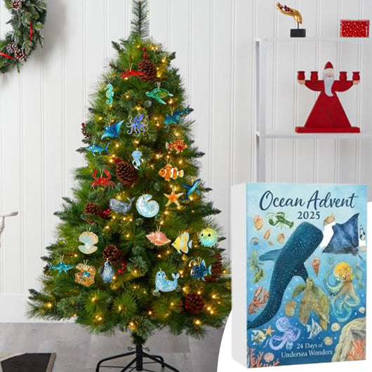 Ocean Animals Advent Calendar 2026 | 24 Sea Creature Ornaments